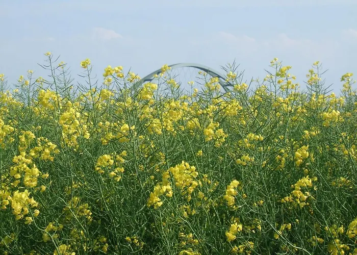 Apartamento Ferienwohnung-tomme